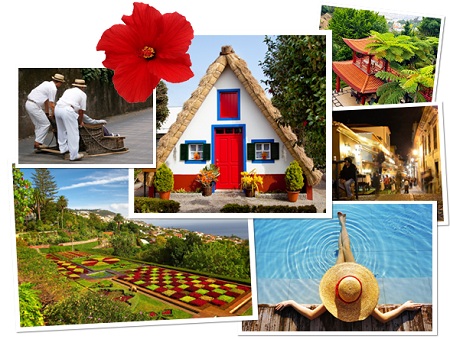 Madeira Island - Gardens, Flowers, Culture, Sun